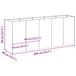 Casa si Gradina - Gradinarit si plante - Plante si ghivece - Ghivece si suporturi - Jardiniera Antracit 200x40x80 cm Otel laminat la rece - Infinity.ro