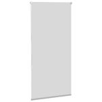 Casa si Gradina - Textile si covoare - Rulouri si jaluzele - Jaluza cu role opace 85x150 cm latime material 80,7 cm, gri deschis - Infinity.ro