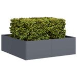 Casa si Gradina - Gradinarit si plante - Plante si ghivece - Ghivece si suporturi - Jardiniera Antracit 100x100x30 cm Otel - Infinity.ro