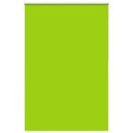 Casa si Gradina - Textile si covoare - Rulouri si jaluzele - Jaluza cu role opace 155x210 cm latime material 151,6 cm - Infinity.ro