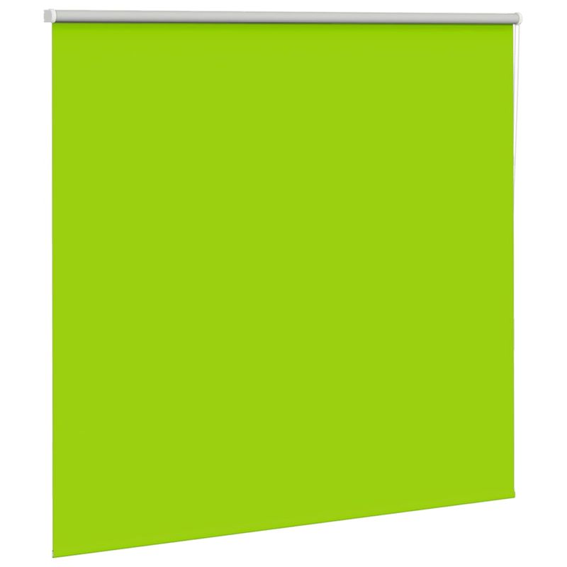 Casa si Gradina - Textile si covoare - Rulouri si jaluzele - Jaluza cu role opace 165x130 cm Latime material 161,6 cm, frunze verzi - Infinity.ro
