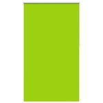 Casa si Gradina - Textile si covoare - Rulouri si jaluzele - Jaluza cu role opace 120x230 cm Latime material 116,6 cm, frunze verzi - Infinity.ro