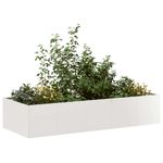Casa si Gradina - Gradinarit si plante - Plante si ghivece - Ghivece si suporturi - Jardiniera 200x80x40 cm otel inoxidabil - Infinity.ro