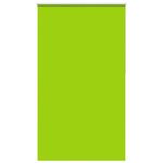 Casa si Gradina - Textile si covoare - Rulouri si jaluzele - Jaluza cu role opace 130x230 cm latime material 126,6 cm, frunze verzi - Infinity.ro