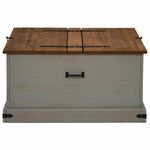 Casa si Gradina - Mobilier - Organizare si depozitare - Cutii depozitare - Cufa de depozitare HALDEN gri 91x91x47 cm lemn masiv de pin - Infinity.ro