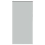 Casa si Gradina - Textile si covoare - Rulouri si jaluzele - Jaluza cu role opace 110x210 cm latime material 105,7 cm, gri deschis - Infinity.ro