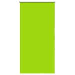 Casa si Gradina - Textile si covoare - Rulouri si jaluzele - Jaluza cu role opace 85x150 cm latime material 80,7 cm, frunze verzi - Infinity.ro