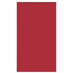 Casa si Gradina - Textile si covoare - Rulouri si jaluzele - Jaluza cu role opace Rosu 125x210 cm latime material 121,6 cm - Infinity.ro