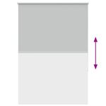 Casa si Gradina - Textile si covoare - Rulouri si jaluzele - Jaluza cu role opace 110x150 cm latime material 105,7 cm, gri deschis - Infinity.ro