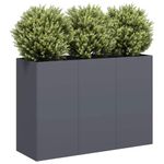 Casa si Gradina - Gradinarit si plante - Plante si ghivece - Ghivece si suporturi - Jardiniera Antracit 120x40x80 cm Otel laminat la rece - Infinity.ro