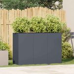 Casa si Gradina - Gradinarit si plante - Plante si ghivece - Ghivece si suporturi - Jardiniera Antracit 120x40x80 cm Otel laminat la rece - Infinity.ro