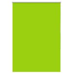 Casa si Gradina - Textile si covoare - Rulouri si jaluzele - Jaluza cu role opace 95x150 cm latime tesatura 90,7 cm, frunze verzi - Infinity.ro