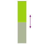 Casa si Gradina - Textile si covoare - Rulouri si jaluzele - Jaluza cu role opace 45x230 cm latime material 40,7 cm, frunze verzi - Infinity.ro