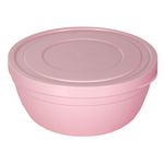 Casa si Gradina - Bucatarie si vesela - Organizare si depozitare bucatarie - Cutii alimentare - Recipient alimente, model powder, capacitate 500ml, roz - Infinity.ro