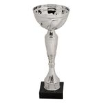 Sport si Outdoor - Accesorii si echipamente sportive - Medalii, cupe si trofee - Cupa premiu 23cm, argintiu, baza marmura - Infinity.ro