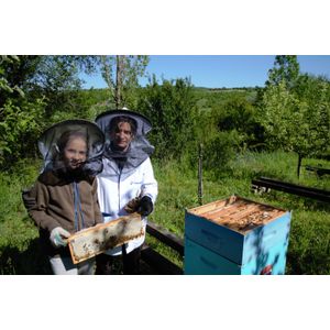 Set 3 Borcane Miere Naturala, 2250 Grame, Salcam, Tei, Poliflora, Bat Miere Spiralat, Borcanel Cu Capaceala, Cadou Perfect Santos, Boutique Deluxe