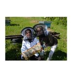 Market - Bacanie - Dulceata, miere si crema tartinabila - Pachet 1 Borcan miere tei 750 g + 1 Borcan miere poliflora 750 g, Show Bazzz - Infinity.ro