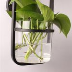 Casa si Gradina - Corpuri si surse de iluminat - Veioze si lampi - Veioze - Lampa de Perete Moderna Boutique Deluxe, Abajur Textil Alb, Bol Sticla Pentru Plante, Iluminare LED Eficienta, Design Minimalist, 220V, 50x17 cm, Decoratiune Interioara, Negru - Infinity.ro