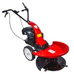 Casa si Gradina - Gradinarit si plante - Utilaje gradina - Coase electrice si motocoase - Motocositoare pe benzina RD-DM01, 200 cc, 3 kW, latime taiere 60 cm, Raider 075017 - Infinity.ro