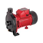 Casa si Gradina - Gradinarit si plante - Instalatii si accesorii pentru irigatii - Pompe apa - Pompa de apa centrifugala de suprafata 850W RD-WP158, Raider 070116 - Infinity.ro