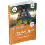 Carti si Birotica - Carti - Manuale si auxiliare scolare - Culegeri auxiliare - Caiet cu litere si semne grafice pentru grupa mare - Infinity.ro