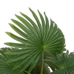 Casa si Gradina - Decoratiuni - Obiecte decorative - Plante artificiale - Planta artificiala de palmier 9 frunze 65 cm verde - Infinity.ro