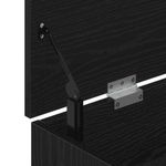 Casa si Gradina - Mobilier - Organizare si depozitare - Organizator incaltaminte - Banca de pantofi Stejar negru 102x30,5x45 cm Lemn prelucrat - Infinity.ro