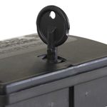 Casa si Gradina - Gradinarit si plante - Intretinere gradina - Articole daunatori gradina - Capcane pentru soareci 20 buc Negru 13x10x4 cm - Infinity.ro