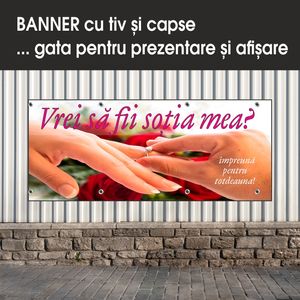 Carti si Birotica - Papetarie - Afise si stickere - Infinity.ro