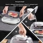 Casa si Gradina - Bucatarie si vesela - Organizare si depozitare bucatarie - Cutii alimentare - Caserola dezghetare rapida a alimentelor 360°, Tehnologie atomizare, Capacitate mare, Incarcare USB - Infinity.ro