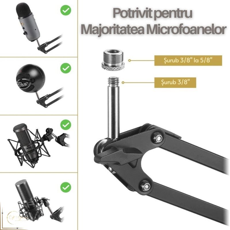 TV, Audio-Video si Foto - Audio profesionale - Stative - Stativ Microfon Profesional cu Filtru Pop, Tonor T30, Reglabil 360°, Filet 3/8''-5/8'', Sustine 2kg, Metal, Negru - Infinity.ro