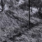 Casa si Gradina - Textile si covoare - Covoare - Covoare casa - Covor shaggy cu pom inalt, NAVARRA, gri inchis, 240x240 cm, formă pătrat - Infinity.ro