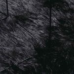 Casa si Gradina - Textile si covoare - Covoare - Covoare casa - Covor shaggy cu pom inalt, NAVARRA, negru, 200x200cm, poliester, formă rotund - Infinity.ro