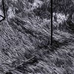 Casa si Gradina - Textile si covoare - Covoare - Covoare casa - Covor shaggy cu pom inalt, NAVARRA, gri inchis, 100x100 cm - Infinity.ro