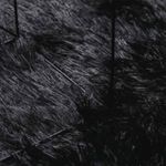 Casa si Gradina - Textile si covoare - Covoare - Covoare casa - Covor shaggy cu pom inalt, NAVARRA, negru, 300x200cm, poliester - Infinity.ro