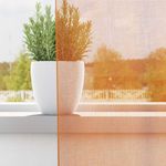 Casa si Gradina - Textile si covoare - Perdele si draperii - Perdele - Perdele Voile cu Oelii 2 buc Portocaliu 140x225 cm - Infinity.ro