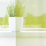 Casa si Gradina - Textile si covoare - Perdele si draperii - Perdele - Perdele Voile cu Oelii 2 buc Verde mar 140x140 cm - Infinity.ro