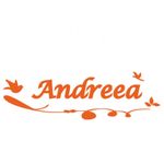 Casa si Gradina - Decoratiuni - Stickere decorative - Sticker decorativ, Pasari Andreea, portocaliu, 56x24 cm - Infinity.ro