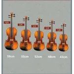 TV, Audio-Video si Foto - Instrumente muzicale - Instrumente clasice - Vioara clasica din lemn, marime 1/2, maro, toc inclus + arcus 1/4 extra - Infinity.ro