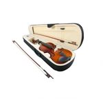 TV, Audio-Video si Foto - Instrumente muzicale - Instrumente clasice - Vioara clasica True Sound, lemn, marime 3/4, maro, toc inclus + arcus 1/4 extra - Infinity.ro