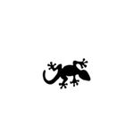 Casa si Gradina - Decoratiuni - Stickere decorative - Sticker decorativ,  Salamandra, negru, 130x78 - Infinity.ro