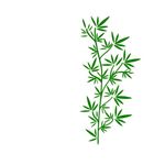 Casa si Gradina - Decoratiuni - Stickere decorative - Sticker decorativ, Ramura de maslin, verde, 85x176 cm - Infinity.ro