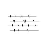 Casa si Gradina - Decoratiuni - Stickere decorative - Sticker decorativ, Pasari pe fir, Negru, 100x35 cm - Infinity.ro