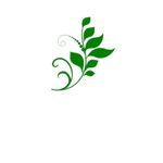 Casa si Gradina - Decoratiuni - Stickere decorative - Sticker decorativ floral, verde, 40x46 cm - Infinity.ro