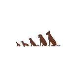 Casa si Gradina - Decoratiuni - Stickere decorative - Sticker decorativ, Evolutia cainelui, maro, 110x40 cm - Infinity.ro