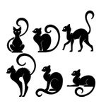 Casa si Gradina - Decoratiuni - Stickere decorative - Sticker decorati, pachet pisici, negru, 95x95 cm - Infinity.ro