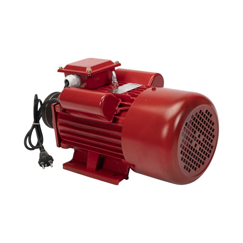 Casa si Gradina - Gradinarit si plante - Instalatii si accesorii pentru irigatii - Pompe apa - Motor electric monofazat Troian 4 kW, 3000 Rpm - Infinity.ro