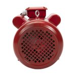 Casa si Gradina - Gradinarit si plante - Instalatii si accesorii pentru irigatii - Pompe apa - Motor electric monofazat Troian 4 kW, 3000 Rpm - Infinity.ro