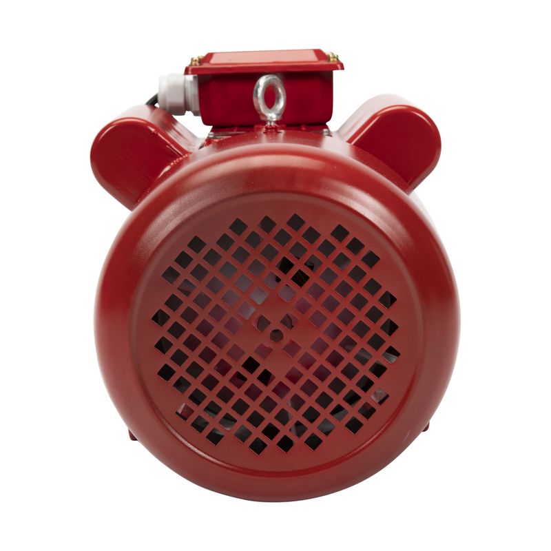 Casa si Gradina - Gradinarit si plante - Instalatii si accesorii pentru irigatii - Pompe apa - Motor electric monofazat Troian 4 kW, 3000 Rpm - Infinity.ro