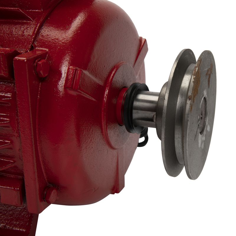 Casa si Gradina - Gradinarit si plante - Instalatii si accesorii pentru irigatii - Pompe apa - Motor electric monofazat Troian 4 kW, 3000 Rpm - Infinity.ro